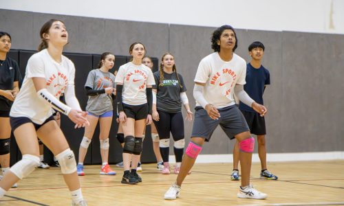 IMG_2194-Enhanced-NR